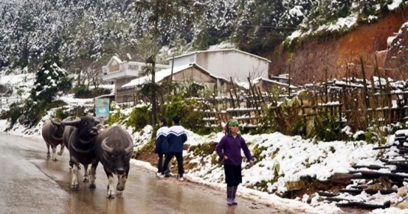 Rét đậm, rét hại xuất hiện nhiều hơn giữa tháng 1/2025 Rét đậm, rét hại xuất hiện nhiều hơn giữa tháng 1/2025