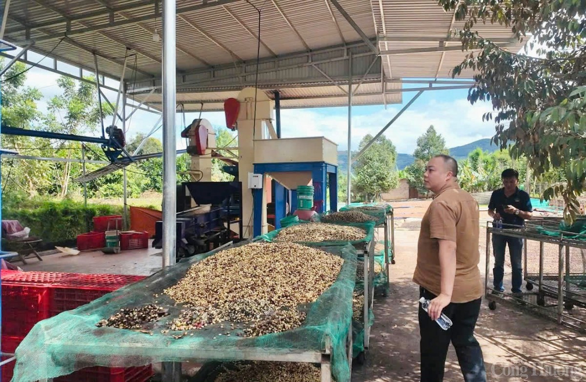 Người trẻ kể chuyện khởi nghiệp từ sản vật địa phương