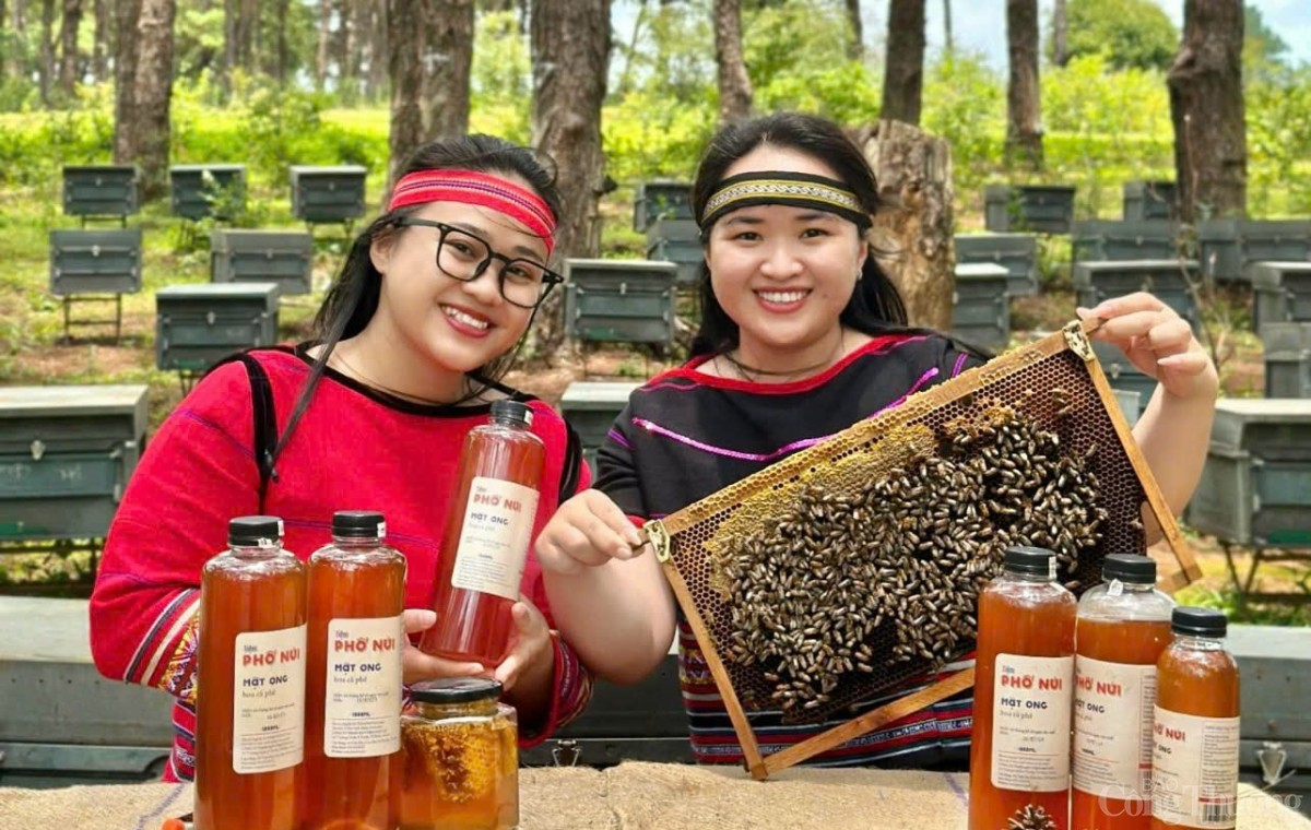 Người trẻ kể chuyện khởi nghiệp từ sản vật địa phương