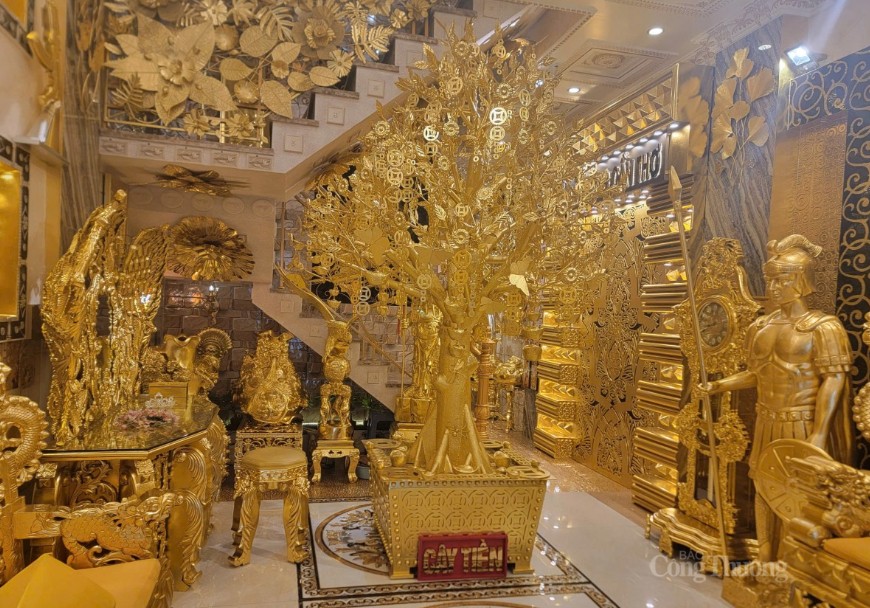 Cây kim tiền - biểu tượng của sự giàu sang.