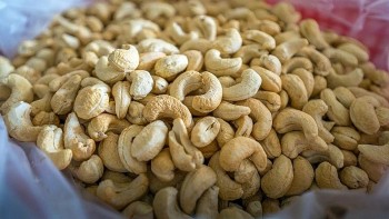 Xuất khẩu hạt điều của Việt Nam sang Mỹ tăng 31,7%