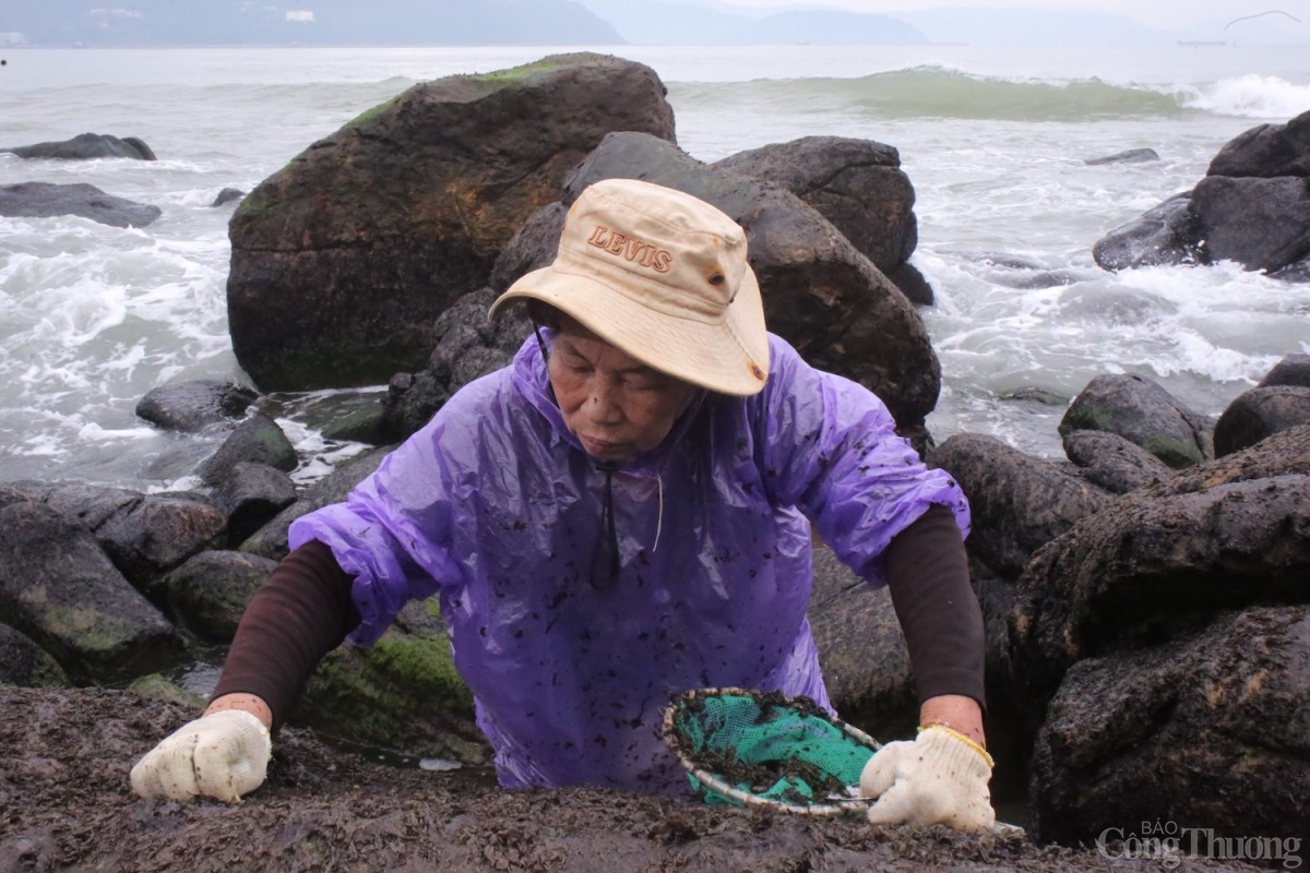 Vì đặc thù công việc nên mỗi người tự chuẩn bị cho mình hành trang gồm găng tay, dép có độ bám chắc, quần áo gọn gàng, đầu đội mũ, mặc áo mưa để chống sương và cái lạnh. 