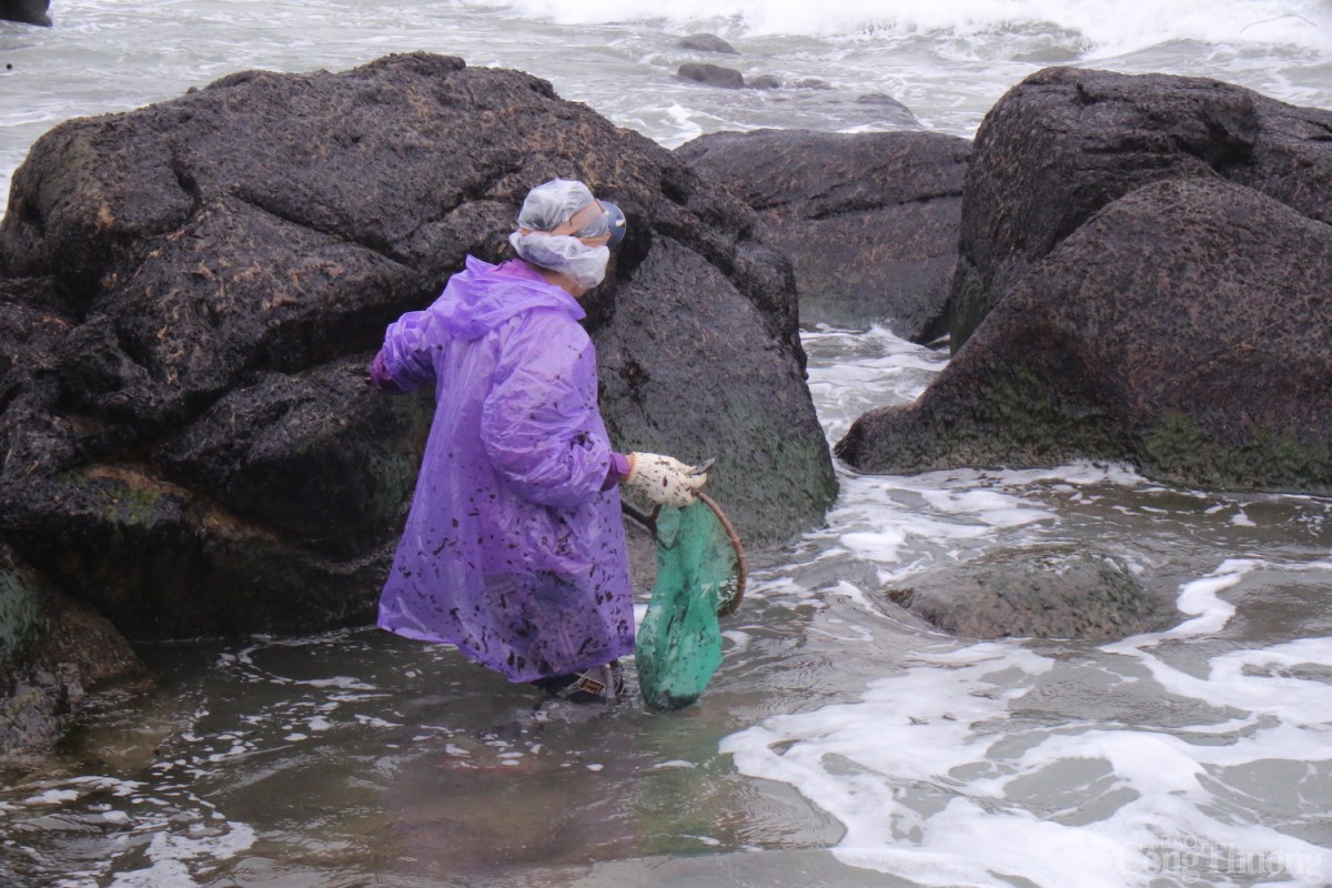 Người dân ngâm mình dưới nước biển lạnh giá hàng giờ đồng hồ để hái “lộc trời” .