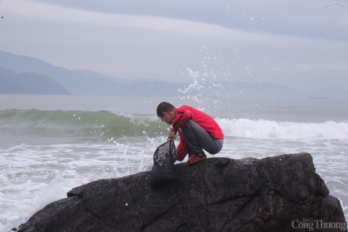 Thời điểm thu hoạch mứt biển thường rơi vào mùa biển động, người dân phải đối mặt với những cơn sóng dữ. 