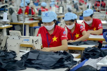 Mục tiêu tăng trưởng 8%: Cần mở rộng, đa dạng hóa thị trường xuất khẩu
