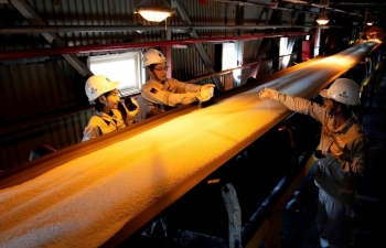 Phân bón Cà Mau công bố điều chỉnh kế hoạch năm 2024