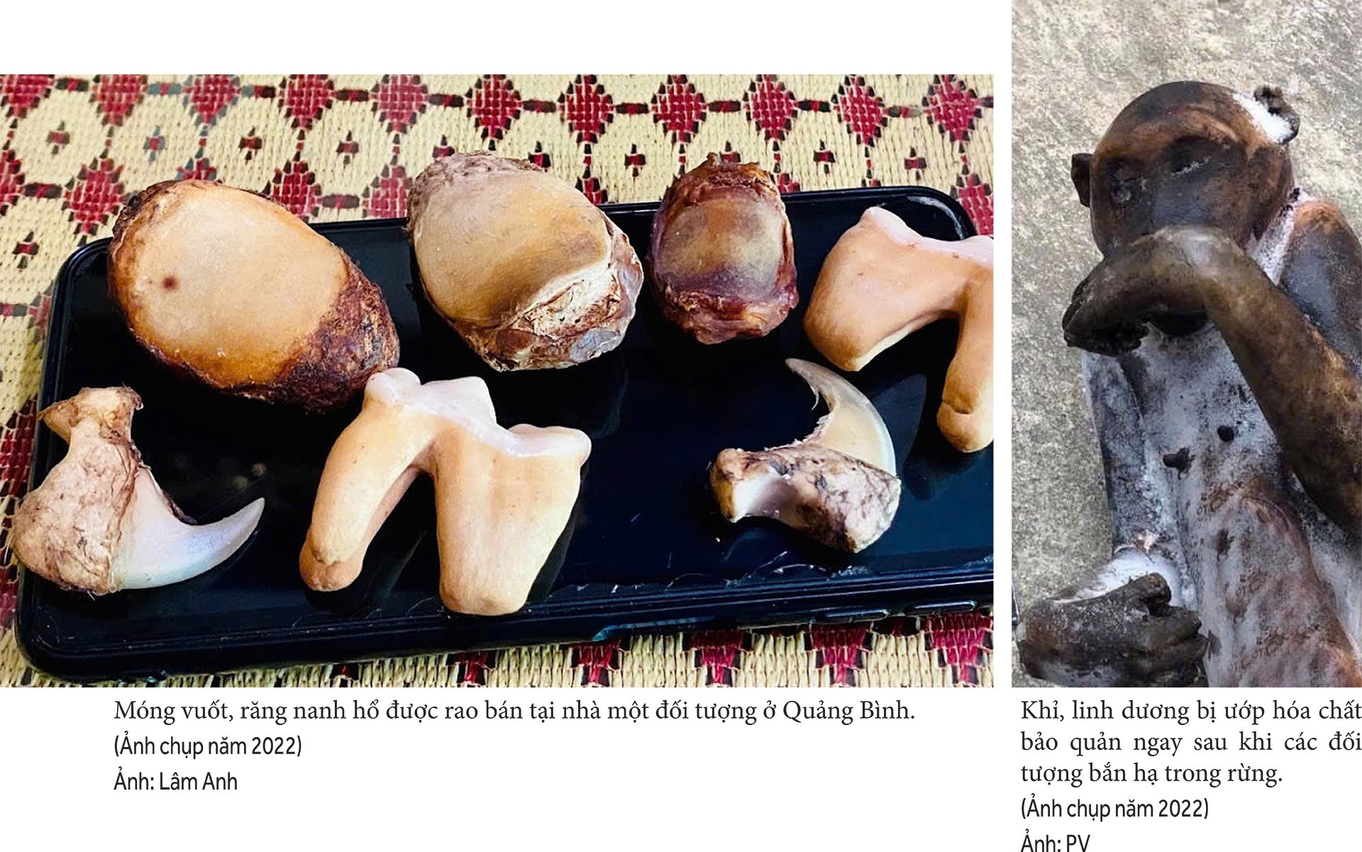 Thực hư thị trường cao hổ bạc tỷ Bài 3: Hiểm họa Thực hư thị trường cao hổ bạc tỷ Bài 3: Hiểm họa