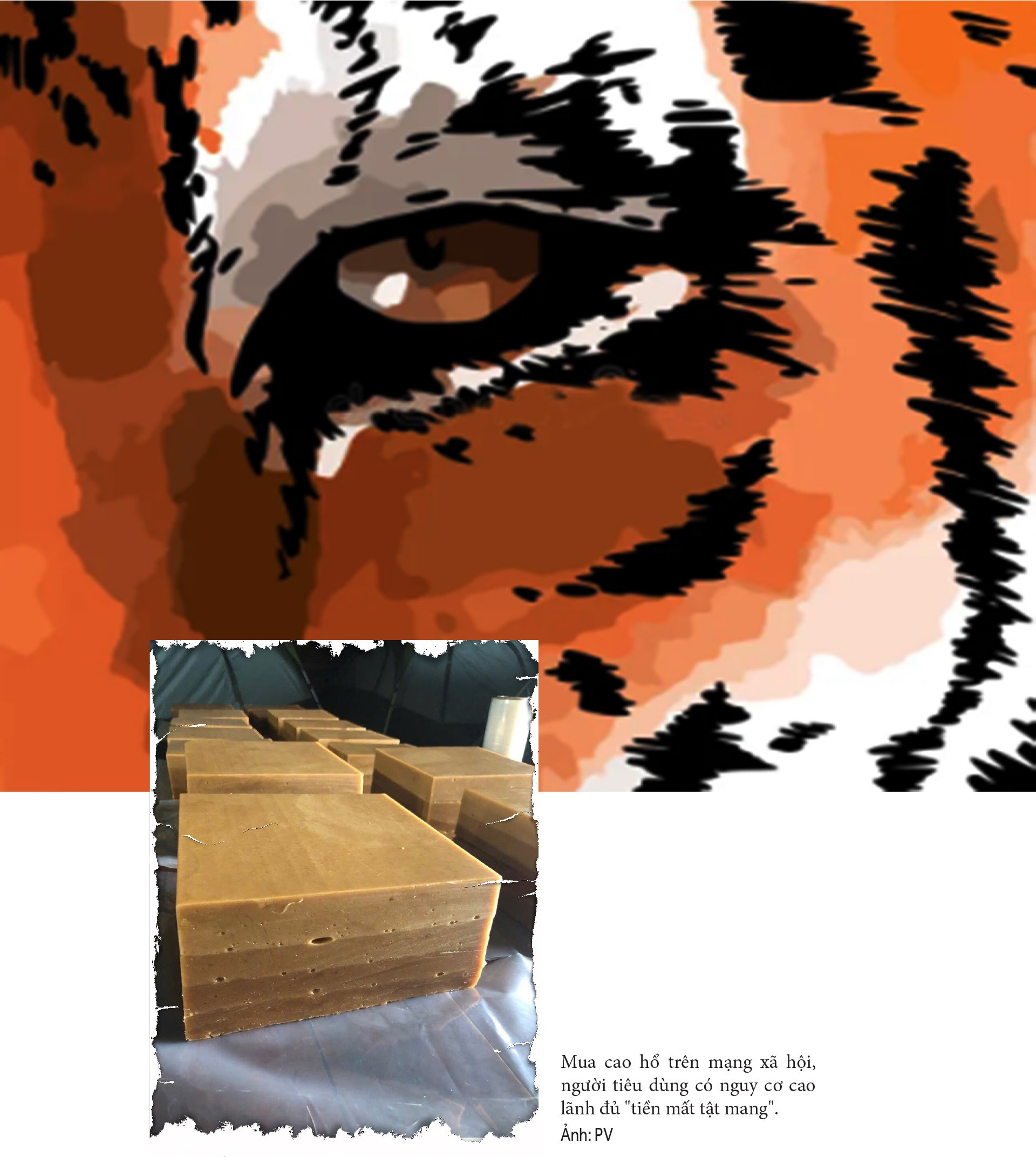 Thực hư thị trường cao hổ bạc tỷ Bài 3: Hiểm họa Thực hư thị trường cao hổ bạc tỷ Bài 3: Hiểm họa