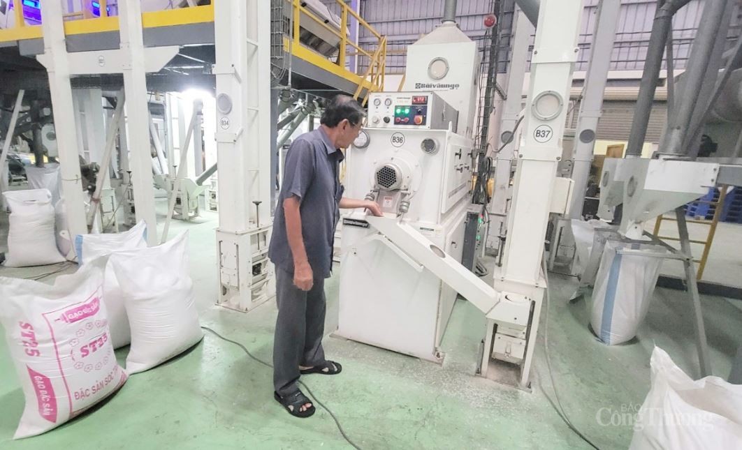 Kỹ sư Hồ Quang Cua: Hành trình ‘Gạo ngon nhất thế giới’ Kỹ sư Hồ Quang Cua: Hành trình ‘Gạo ngon nhất thế giới’