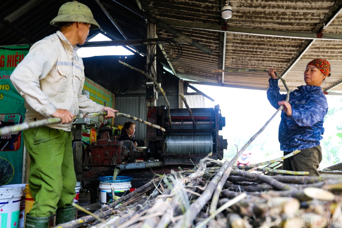 Sau khi thu hoạch mía, người dân làm sạch vỏ và cho vào máy ép lấy nước. Sau khi thu hoạch mía, người dân làm sạch vỏ và cho vào máy ép lấy nước.