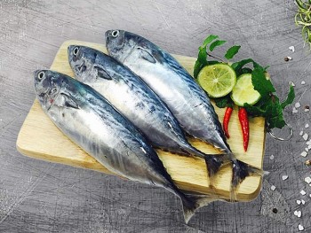 Xuất khẩu cá ngừ sang thị trường Italy giảm 18%