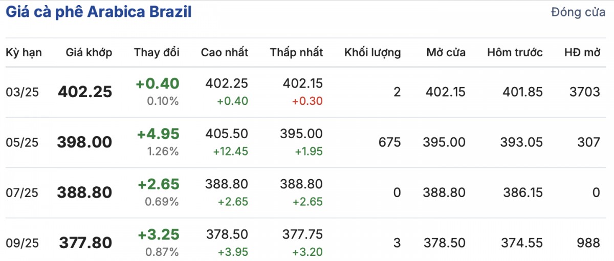Giá cà phê trong nước ngày 8/1/2025 tăng trở lại Giá cà phê trong nước ngày 8/1/2025 tăng trở lại