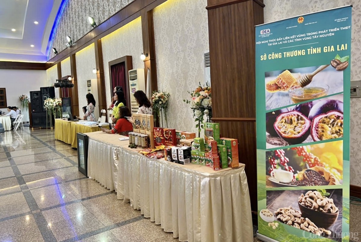 xuất nhập khẩu gia lai đạt nhiều tín hiệu tích cực xuất nhập khẩu gia lai đạt nhiều tín hiệu tích cực