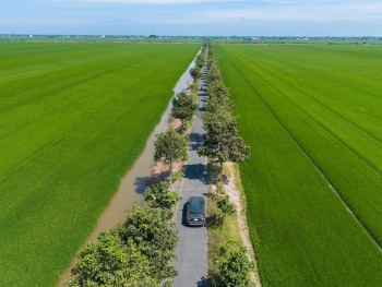 Thị trường du lịch Tết Ất Tỵ: Nhiều