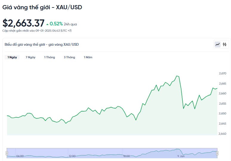 Giá vàng hôm nay 09/01/2025: