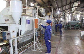 Lai Châu đẩy mạnh phát triển công nghiệp chế biến