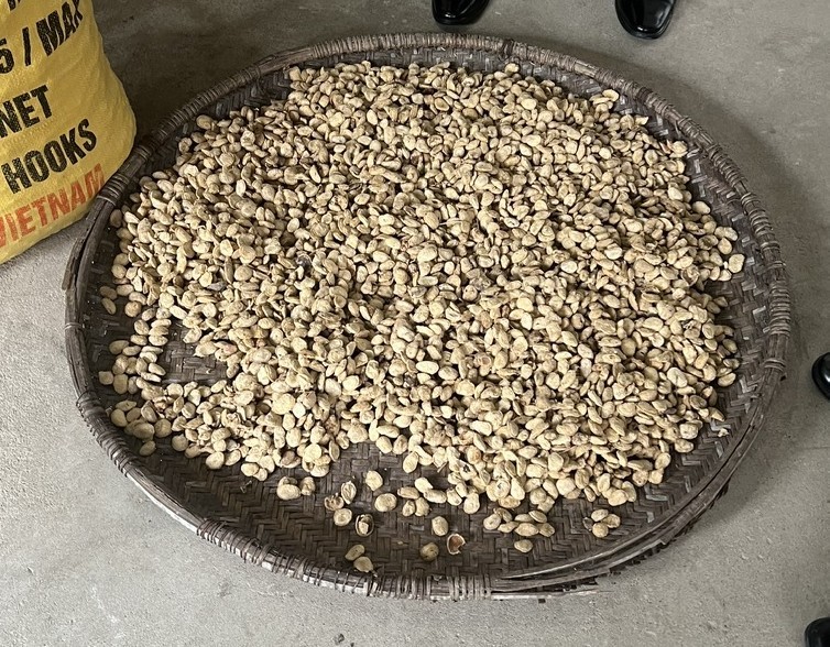 thần dược hạt sang chữa bệnh dạ dày