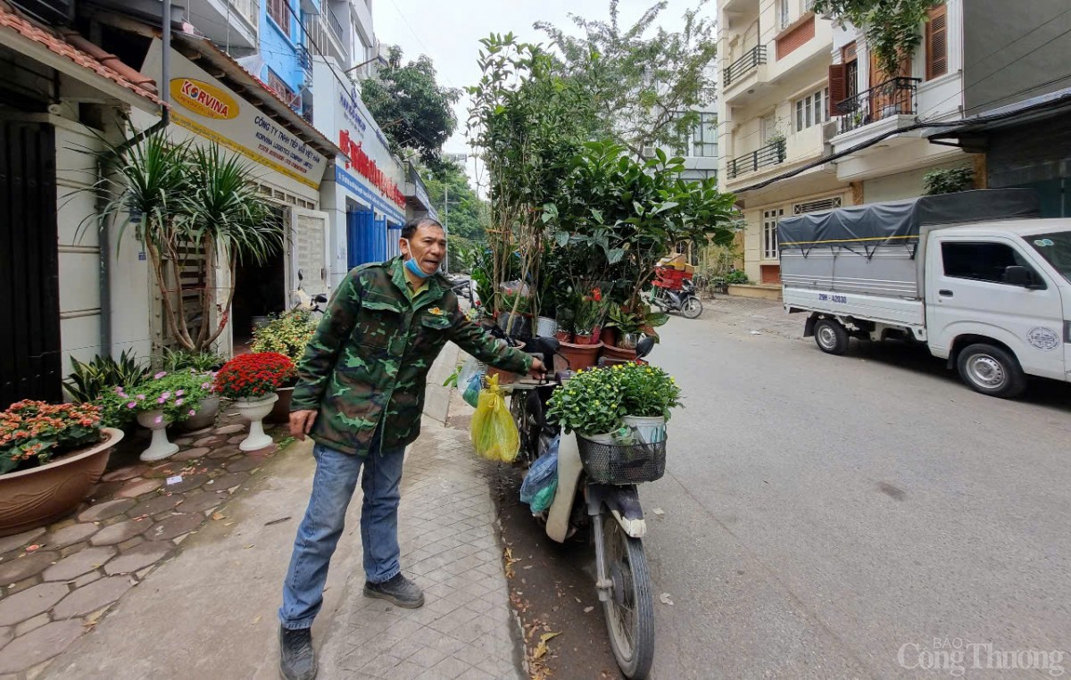 Nở rộ cửa hàng cây cảnh di động dịp Tết Nở rộ cửa hàng cây cảnh di động dịp Tết