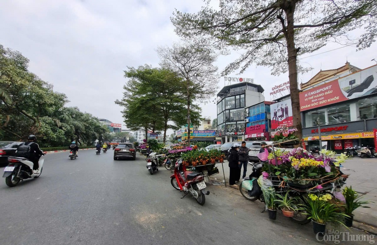 Nở rộ cửa hàng cây cảnh di động dịp Tết Nở rộ cửa hàng cây cảnh di động dịp Tết