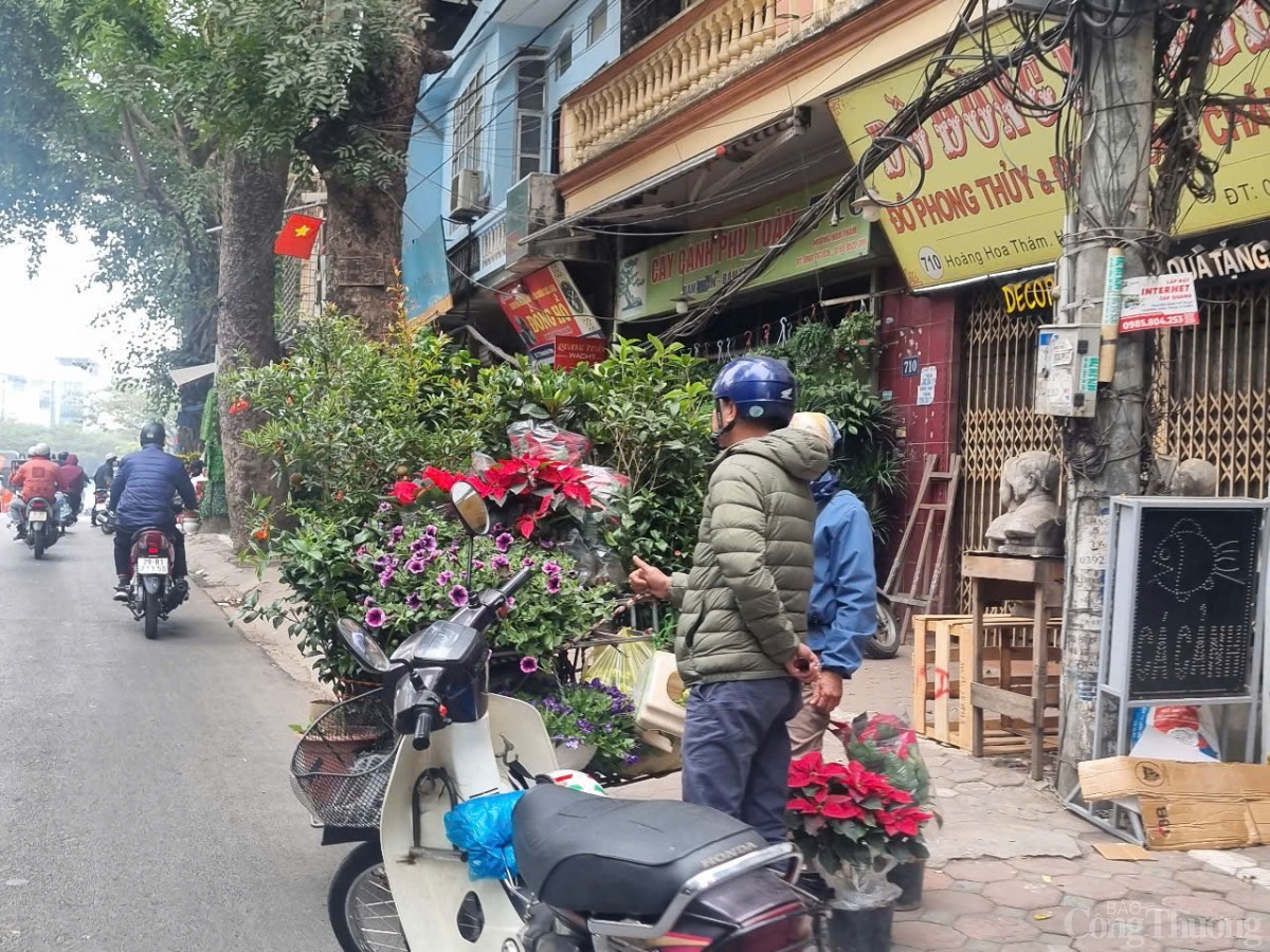 Nở rộ cửa hàng cây cảnh di động dịp Tết Nở rộ cửa hàng cây cảnh di động dịp Tết