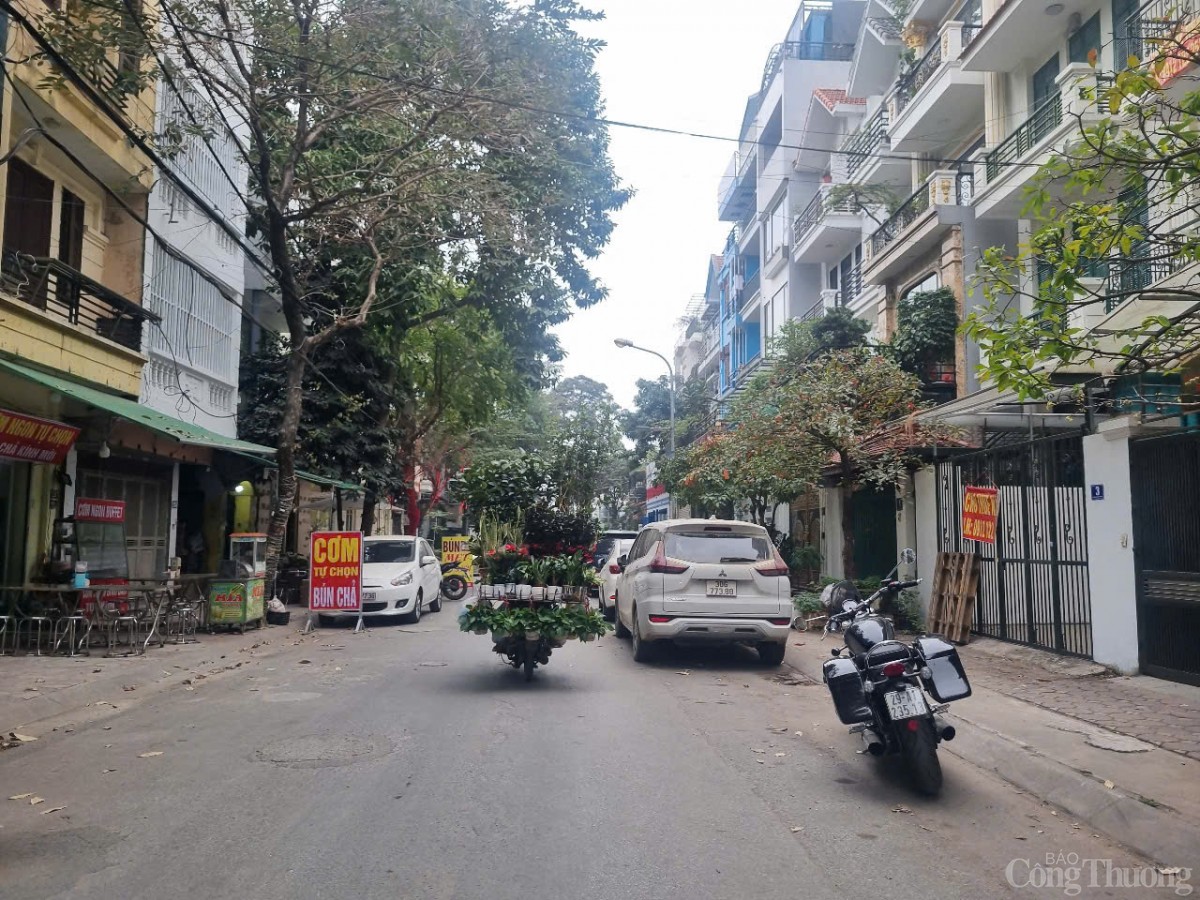 Nở rộ cửa hàng cây cảnh di động dịp Tết Nở rộ cửa hàng cây cảnh di động dịp Tết