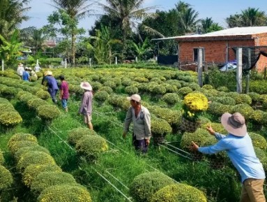 Bến Tre: Tổ chức chuỗi sự kiện văn hóa, du lịch