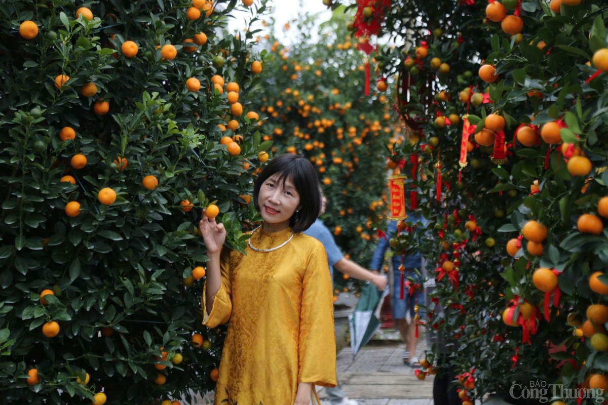 Hàng trăm cây quất cảnh được tạo hình độc đáo tham gia ngày hội.