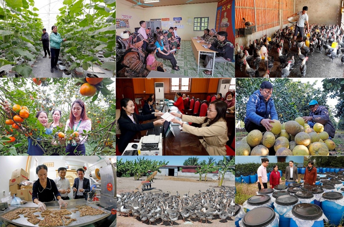 Năm 2024: Nỗ lực vượt khó, NHCSXH đạt nhiều thành tựu nổi bật Năm 2024: Nỗ lực vượt khó, NHCSXH đạt nhiều thành tựu nổi bật