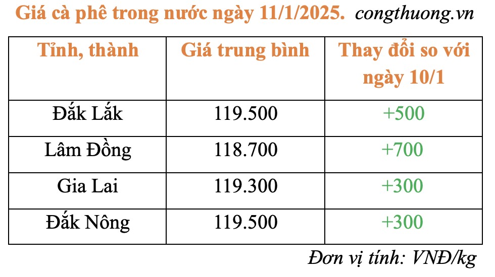 Giá cà phê hôm nay 11/1/2025: Giá cà phê hôm nay 11/1/2025: