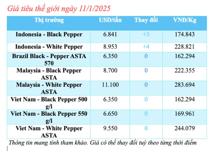 Giá tiêu hôm nay 11/1/2025, trong nước đi ngang Giá tiêu hôm nay 11/1/2025, trong nước đi ngang