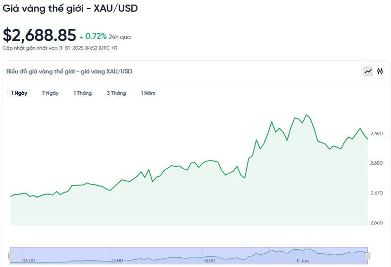 Giá vàng hôm nay 11/01/2025: