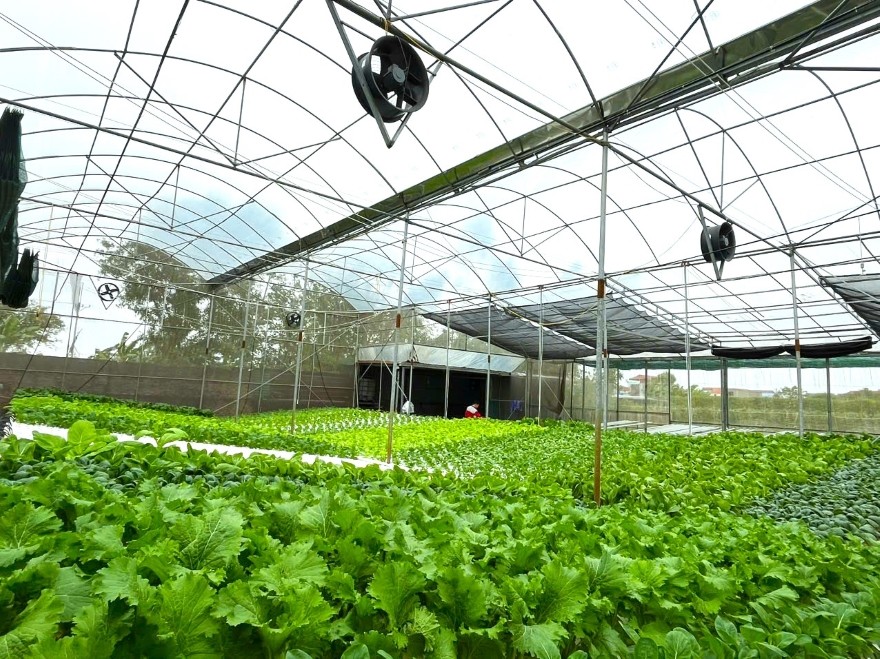 Agribank tiếp sức doanh nghiệp với 5 chương trình tín dụng ưu đãi đặc biệt năm 2025