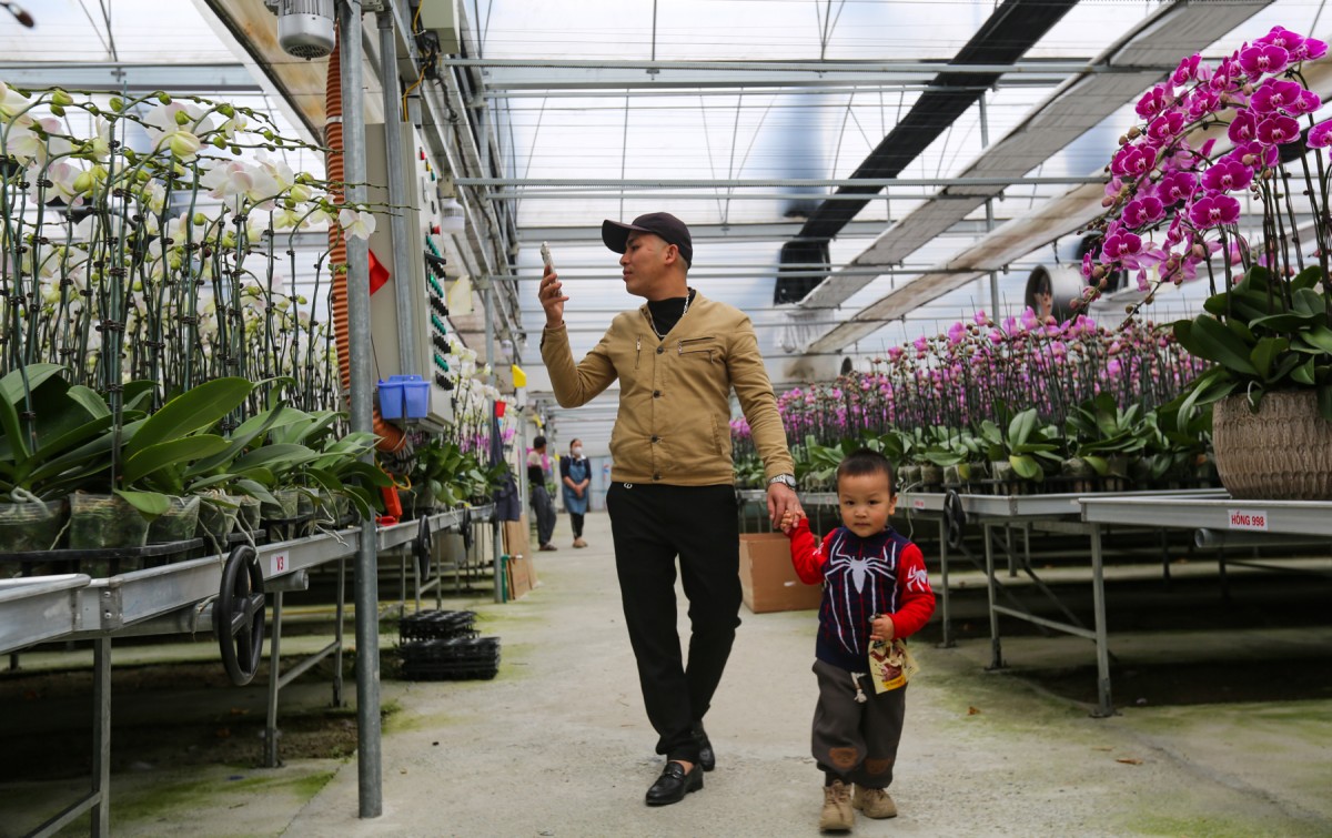 lan hồ điệp hà tĩnh