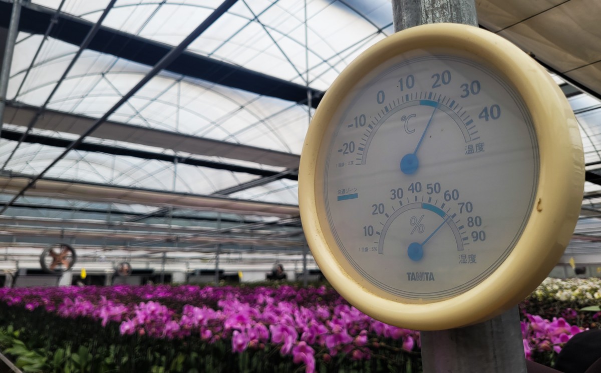 lan hồ điệp hà tĩnh