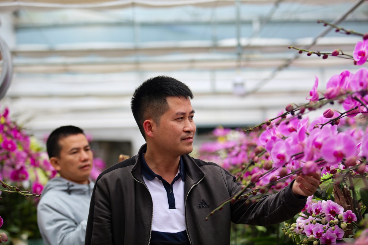 lan hồ điệp hà tĩnh