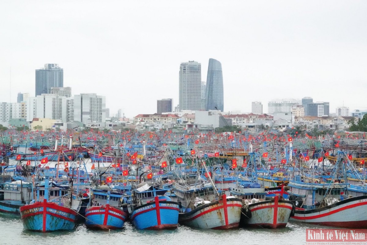 TP. Đà Nẵng đã xử lý dứt điểm, hoàn thành việc xóa tàu cá '3 không' TP. Đà Nẵng đã xử lý dứt điểm, hoàn thành việc xóa tàu cá '3 không'