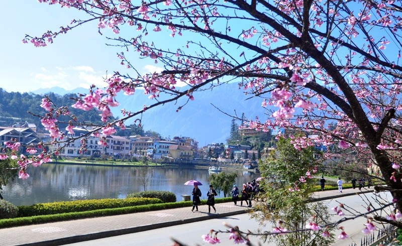 Sa Pa là điểm đến được du khách yêu thích dip Tết Nguyên đán. Ảnh minh họa Sa Pa là điểm đến được du khách yêu thích dip Tết Nguyên đán. Ảnh minh họa