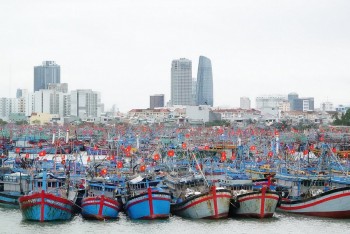 Nhiều địa phương miền Trung hoàn thành xóa tàu cá '3 không'