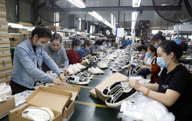 Ngành da giày Việt Nam từ lâu đã khẳng định vị thế quan trọng trong nền kinh tế