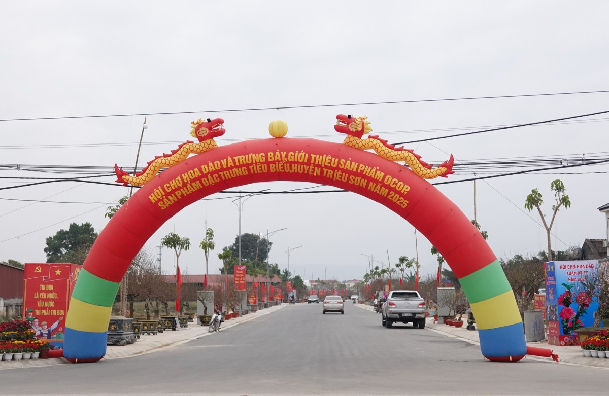 hội chợ hoa đào huyện triệu sơn