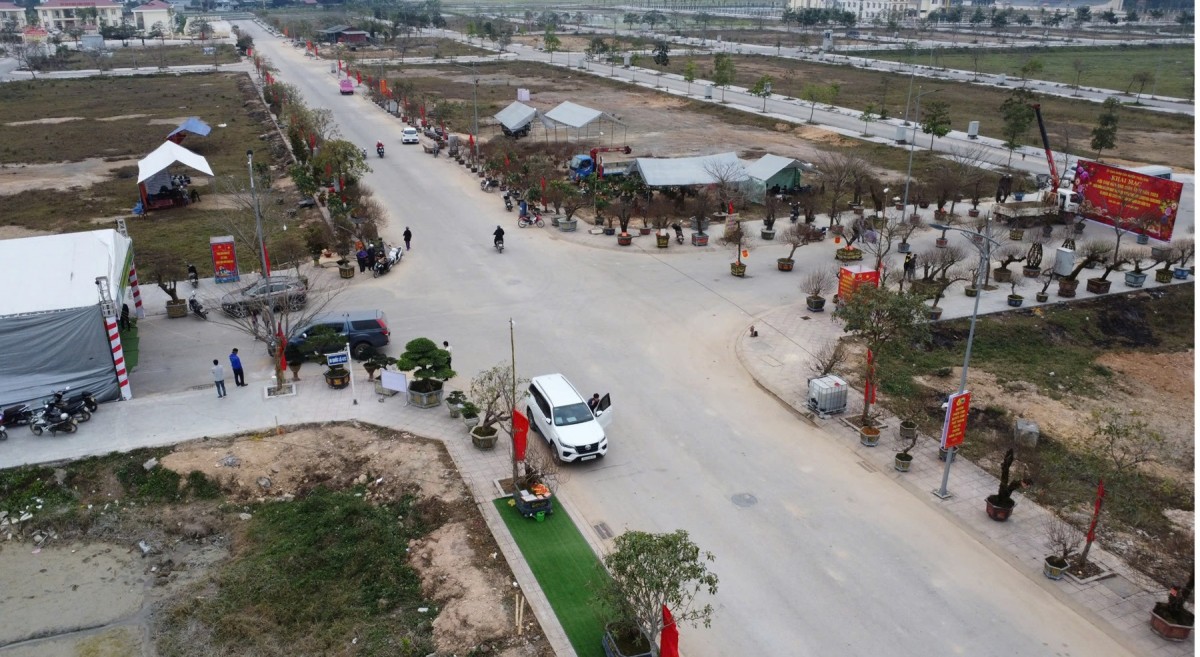 hội chợ hoa đào huyện triệu sơn