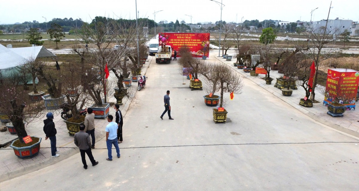 hội chợ hoa đào huyện triệu sơn