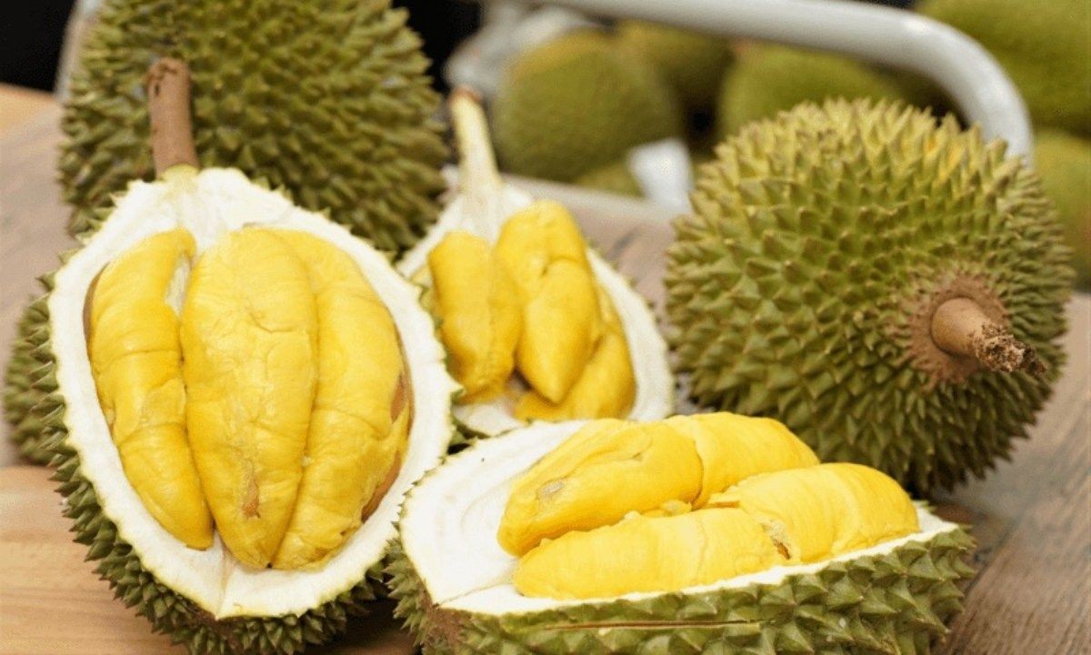 Lượng sầu riêng Việt xuất khẩu sang thị trường Trung Quốc tăng