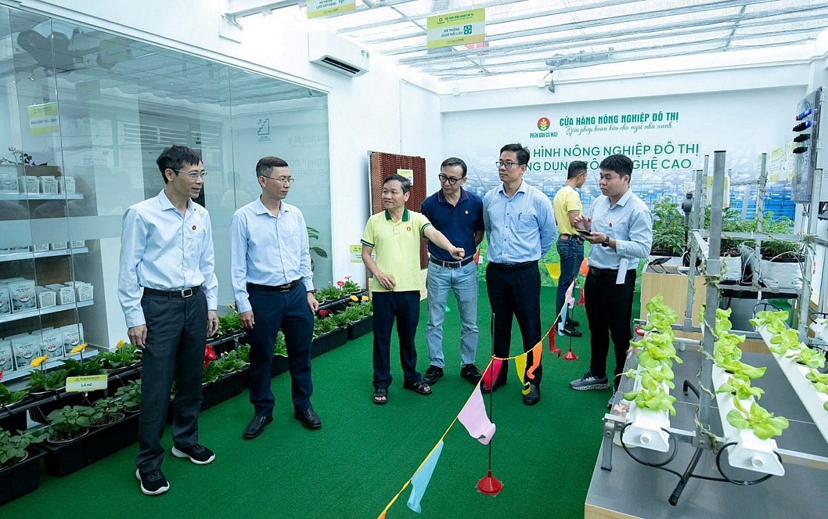 Đến với cửa hàng các khách hàng sẽ có nhiều sự lựa chọn phù hợp cho ngôi nhà xanh của mình. Đến với cửa hàng các khách hàng sẽ có nhiều sự lựa chọn phù hợp cho ngôi nhà xanh của mình.