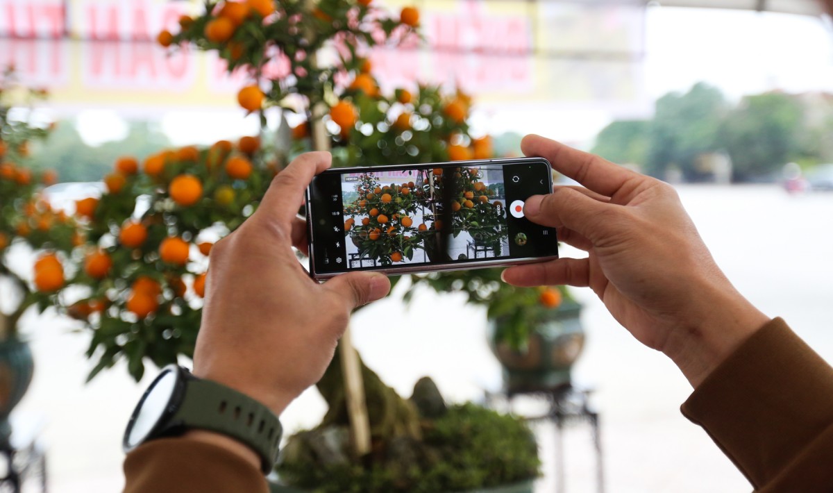 quất quần thăng hà tĩnh quất quần thăng hà tĩnh