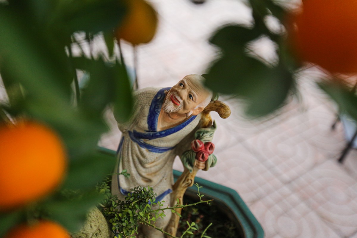 quất quần thăng hà tĩnh quất quần thăng hà tĩnh