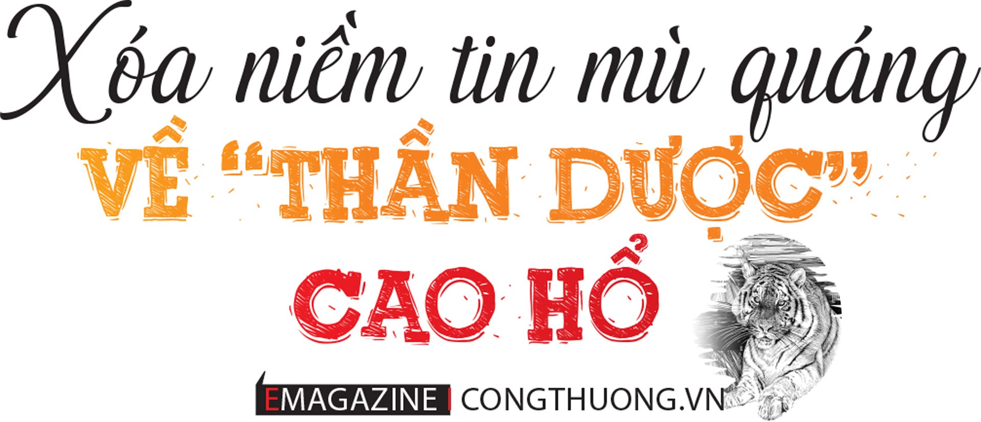 Chấm dứt nạn buôn bán hổ, cách nào? Chấm dứt nạn buôn bán hổ, cách nào?
