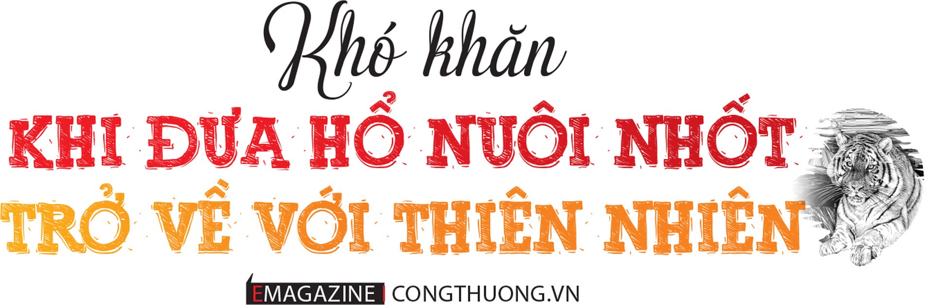 Chấm dứt nạn buôn bán hổ, cách nào? Chấm dứt nạn buôn bán hổ, cách nào?