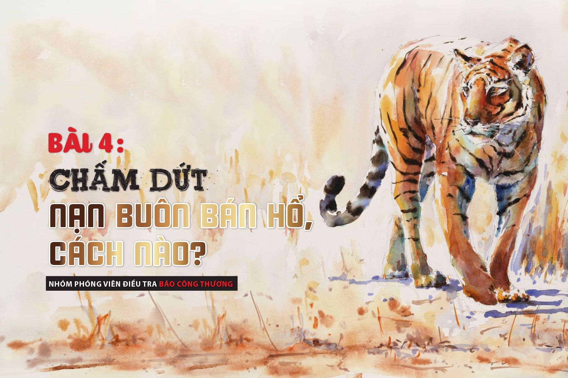 Chấm dứt nạn buôn bán hổ, cách nào? Chấm dứt nạn buôn bán hổ, cách nào?