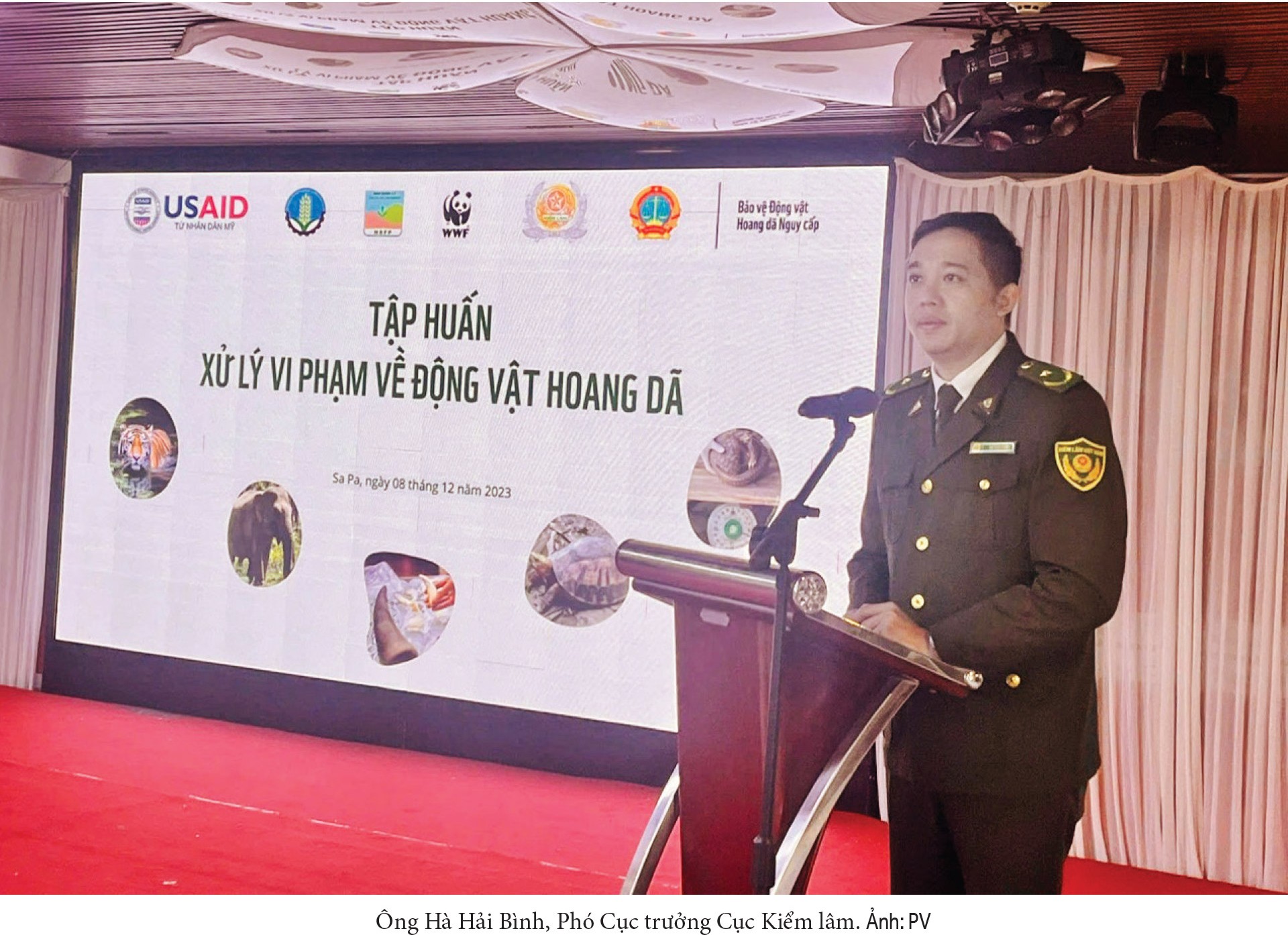 Chấm dứt nạn buôn bán hổ, cách nào? Chấm dứt nạn buôn bán hổ, cách nào?